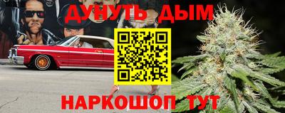 бошки Гай